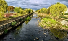 Clipa de natură