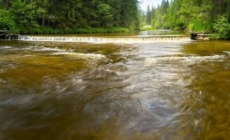 Cod galben de inundații în Maramureș. Râurile Iza și Lăpuș, sub avertizare până miercuri dimineață