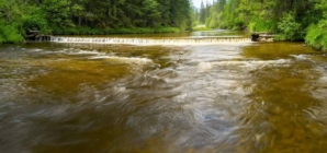 Cod galben de inundații în Maramureș. Râurile Iza și Lăpuș, sub avertizare până miercuri dimineață