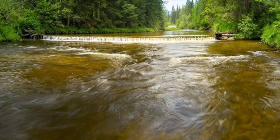 Cod galben de inundații în Maramureș. Râurile Iza și Lăpuș, sub avertizare până miercuri dimineață