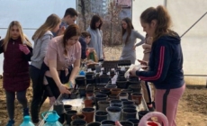 Baia Mare devine, pentru o săptămână, capitala biodiversității urbane printr-un proiect Erasmus internațional