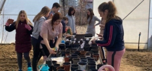 Baia Mare devine, pentru o săptămână, capitala biodiversității urbane printr-un proiect Erasmus internațional