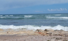 Atenționare pentru cei care merg la mare: bacterie periculoasă în apă. Ce trebuie să știi înainte de vacanță