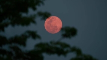 În această noapte, cerul ne va prezenta „Luna Plină a Căpșunilor”