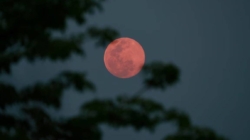 În această noapte, cerul ne va prezenta „Luna Plină a Căpșunilor”
