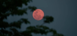 În această noapte, cerul ne va prezenta „Luna Plină a Căpșunilor”