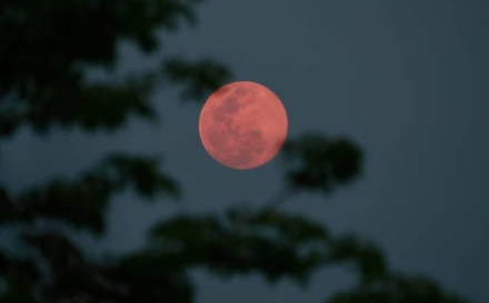 În această noapte, cerul ne va prezenta „Luna Plină a Căpșunilor”
