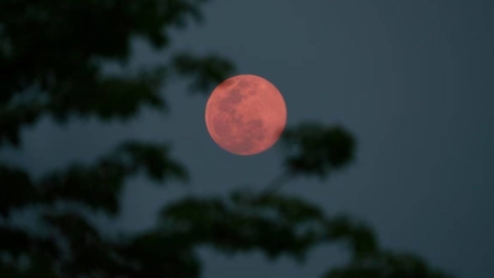 În această noapte, cerul ne va prezenta „Luna Plină a Căpșunilor”