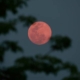 În această noapte, cerul ne va prezenta „Luna Plină a Căpșunilor”