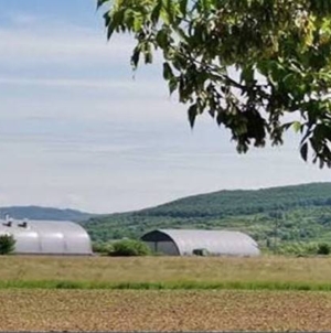 Construcțiile ridicate pe terenuri agricole fără aprobări ar putea fi legalizate