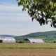 Construcțiile ridicate pe terenuri agricole fără aprobări ar putea fi legalizate