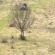 „Prima Evadare – Cărările copilăriei”, tură ciclistă pentru întreaga familie în Suciu de Sus