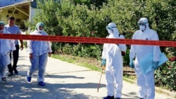 Satu Mare în alertă sanitar-veterinară, după un focar de pestă porcină africană