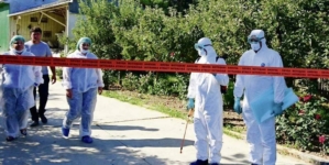 Satu Mare în alertă sanitar-veterinară, după un focar de pestă porcină africană