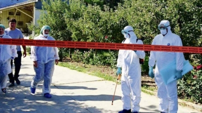 Satu Mare în alertă sanitar-veterinară, după un focar de pestă porcină africană
