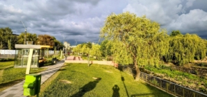 Prognoza meteo Maramureș, marți 23 iunie 2026