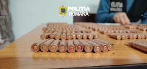 Aproape 500 de cartușe ridicate de polițiști în urma a trei percheziții desfășurate în Sighet