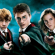 „Seara Harry Potter” va avea loc în premieră în Baia Mare, săptămâna aceasta