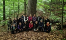 „Povești din Codrii Seculari”: o nouă activitate din cadrul proiectului Școala Naturii în Geoparcul Gutâi-Maramureș