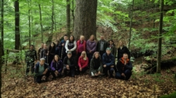 „Povești din Codrii Seculari”: o nouă activitate din cadrul proiectului Școala Naturii în Geoparcul Gutâi-Maramureș