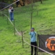Tiroliană, obstacole și distracție cu apă la Muzeul Satului din Baia Mare