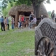 Expoziția de pictură „Între semn și culoare”, semnată de Ileana Ioana Moldovan, se vernisează la Muzeul Satului Baia Mare