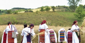 Tradiția secerișului renaște la Suciu de Sus, printr-o nouă ediție a „Clăcii de secerat”