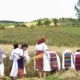 Tradiția secerișului renaște la Suciu de Sus, printr-o nouă ediție a „Clăcii de secerat”