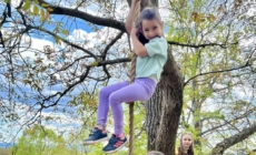 O după-amiază plină de aventură la Muzeul Satului Baia Mare: Tiroliană și activități recreative pentru copii