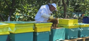 Stupina Arnăuț – povestea unei afaceri de familie construite cu pasiune și răbdare