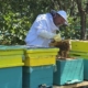 Stupina Arnăuț – povestea unei afaceri de familie construite cu pasiune și răbdare