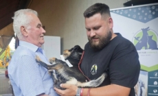 Grijă pentru animalele din Copalnic Mănăștur: 68 de necuvântătoare au fost sterilizate