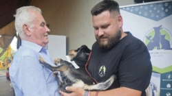 Grijă pentru animalele din Copalnic Mănăștur: 68 de necuvântătoare au fost sterilizate