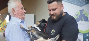 Grijă pentru animalele din Copalnic Mănăștur: 68 de necuvântătoare au fost sterilizate
