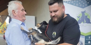 Grijă pentru animalele din Copalnic Mănăștur: 68 de necuvântătoare au fost sterilizate
