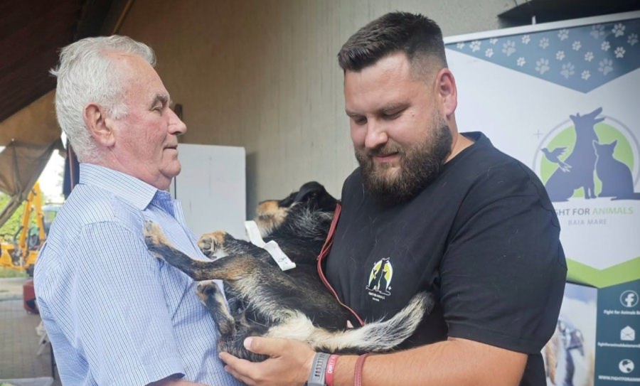 Grijă pentru animalele din Copalnic Mănăștur: 68 de necuvântătoare au fost sterilizate