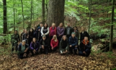 Școala Naturii în Geoparcul Gutâi-Maramureș: o nouă drumeție la Codrii Seculari din Strâmbu Băiuț
