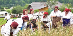 Clacă de secerat la Suciu de Sus: O zi în care munca s-a împletit cu bucuria de a fi împreună
