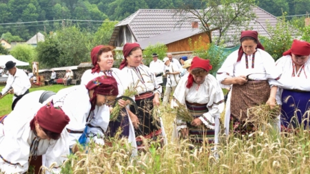 Clacă de secerat la Suciu de Sus: O zi în care munca s-a împletit cu bucuria de a fi împreună