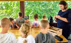 Atelierele de weekend revin în august la Muzeul Satului din Baia Mare. Activități creative pentru toate vârstele