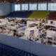 Au început înscrierile pentru Expo Rivulus Dominarum 2026 ediția a XXXI-a
