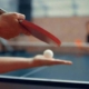 Turneu de tenis de masă în Fărcașa, Maramureș