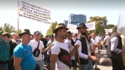 Protest tensionat al oierilor la București. Jandarmii au folosit gaze lacrimogene
