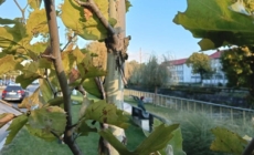 Prognoza meteo Maramureș, miercuri 29 iulie 2026
