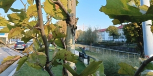 Prognoza meteo Maramureș, miercuri 29 iulie 2026