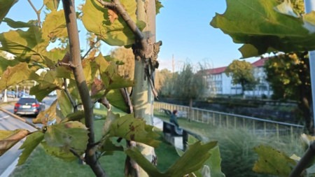 Prognoza meteo Maramureș, miercuri 29 iulie 2026