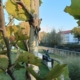 Prognoza meteo Maramureș, miercuri 29 iulie 2026