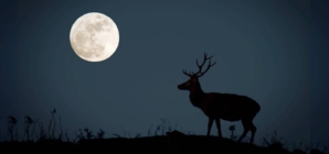 În această seară, Luna Plină va domina cerul de vară