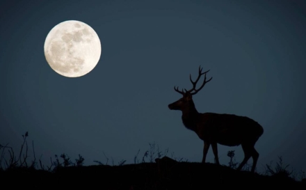 În această seară, Luna Plină va domina cerul de vară