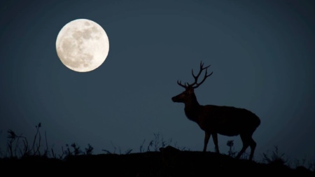În această seară, Luna Plină va domina cerul de vară